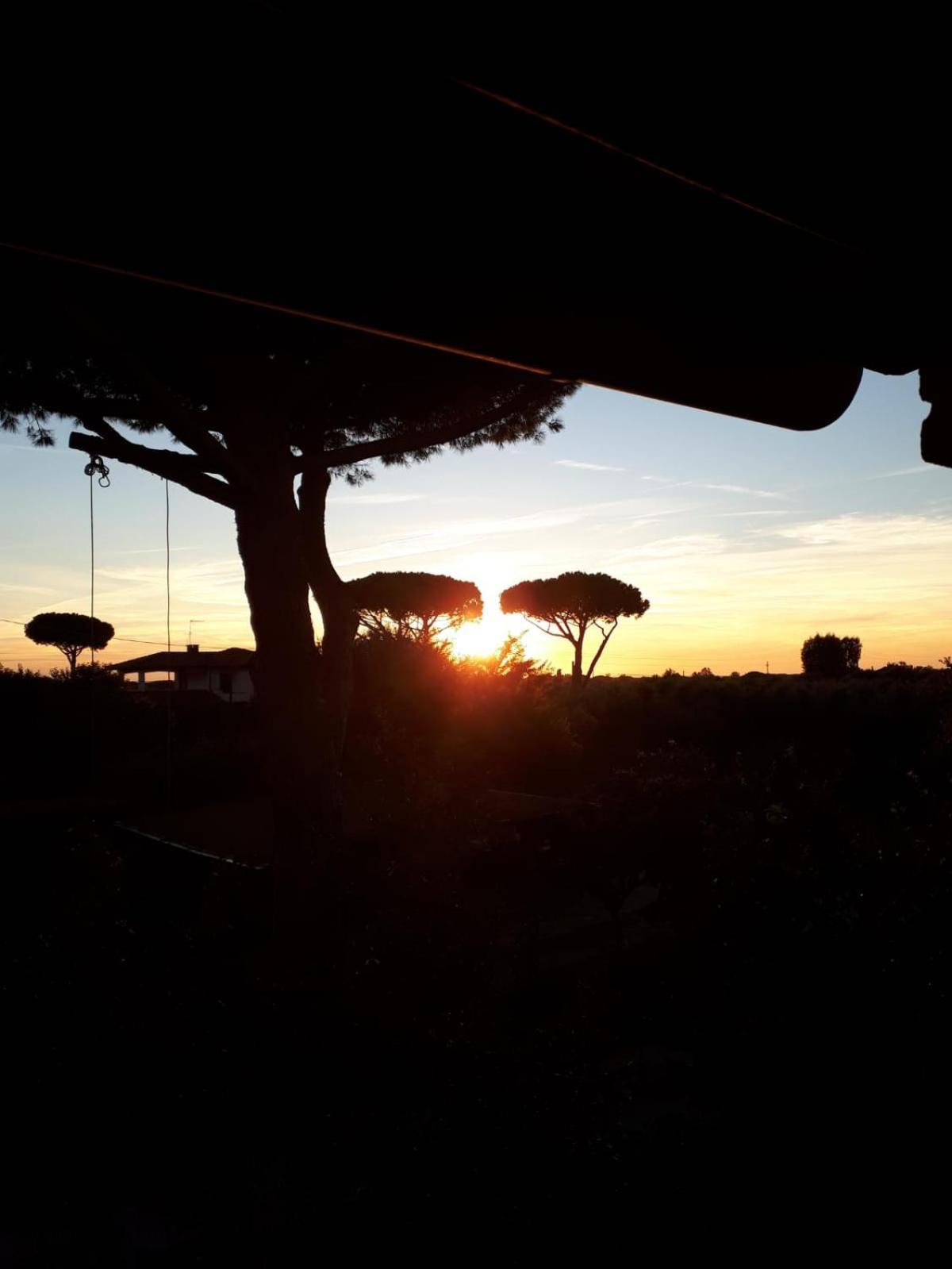 Podere Serena Castagneto Carducci Zewnętrze zdjęcie