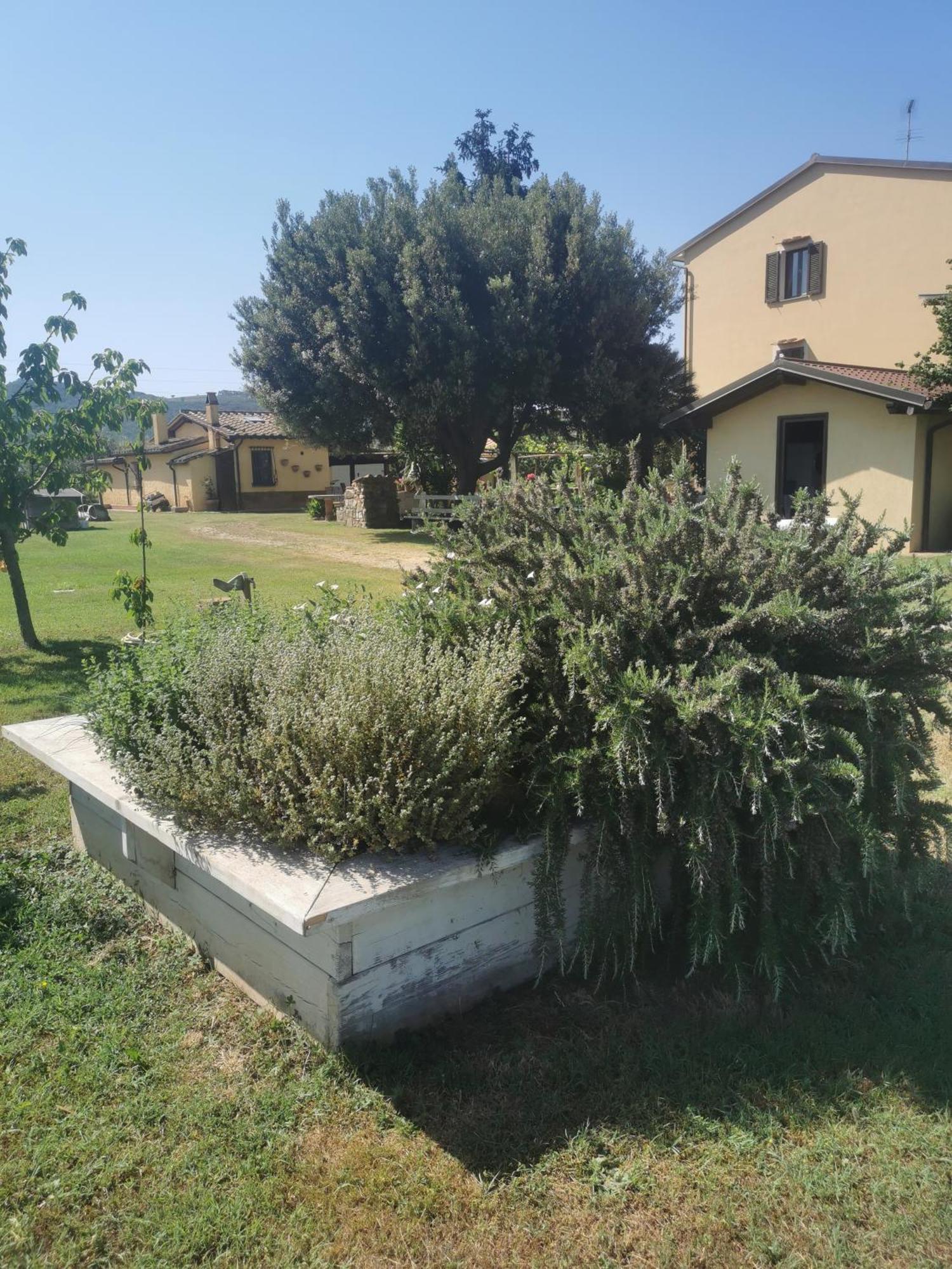 Podere Serena Castagneto Carducci Zewnętrze zdjęcie