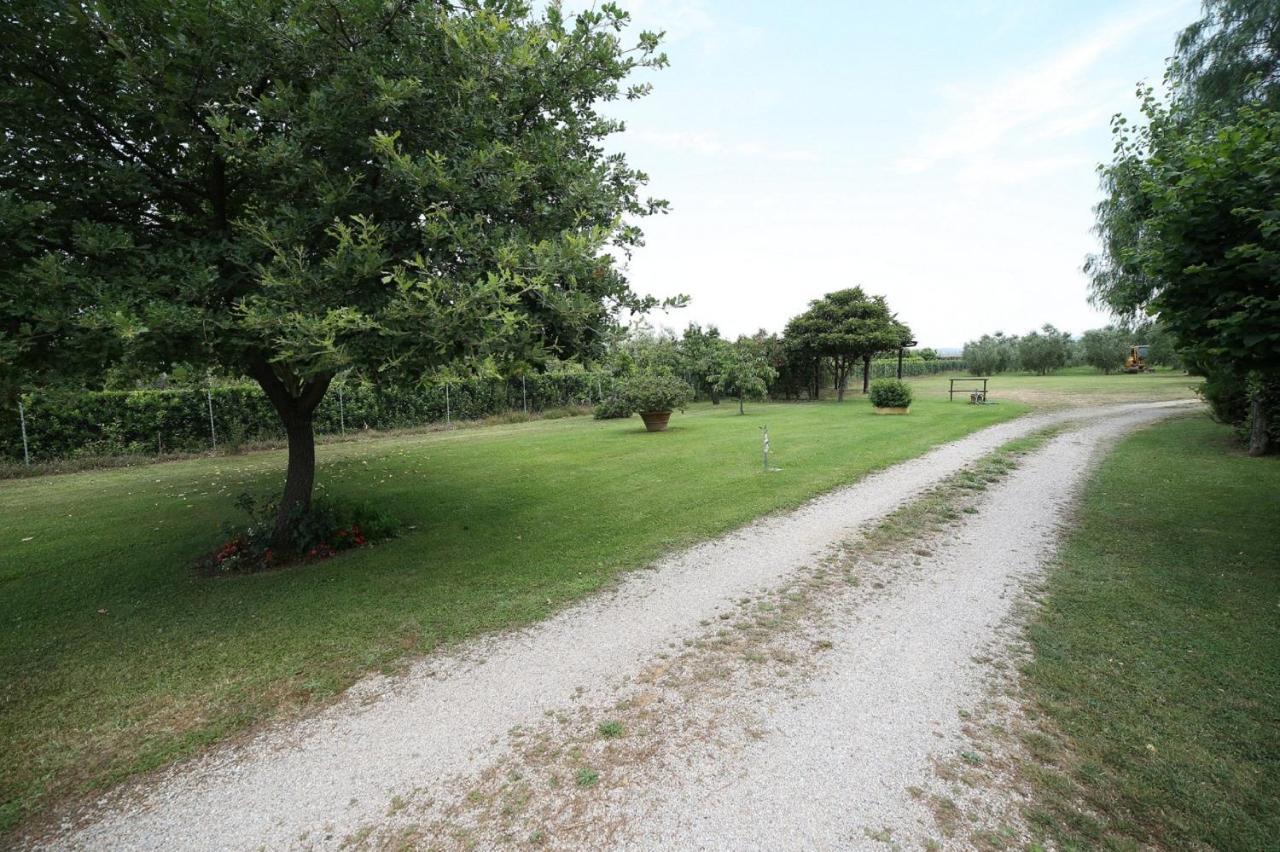 Podere Serena Castagneto Carducci Zewnętrze zdjęcie