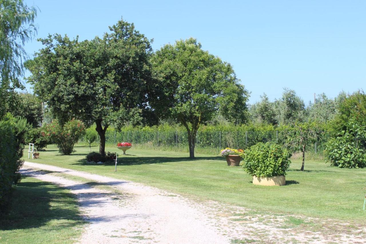 Podere Serena Castagneto Carducci Zewnętrze zdjęcie