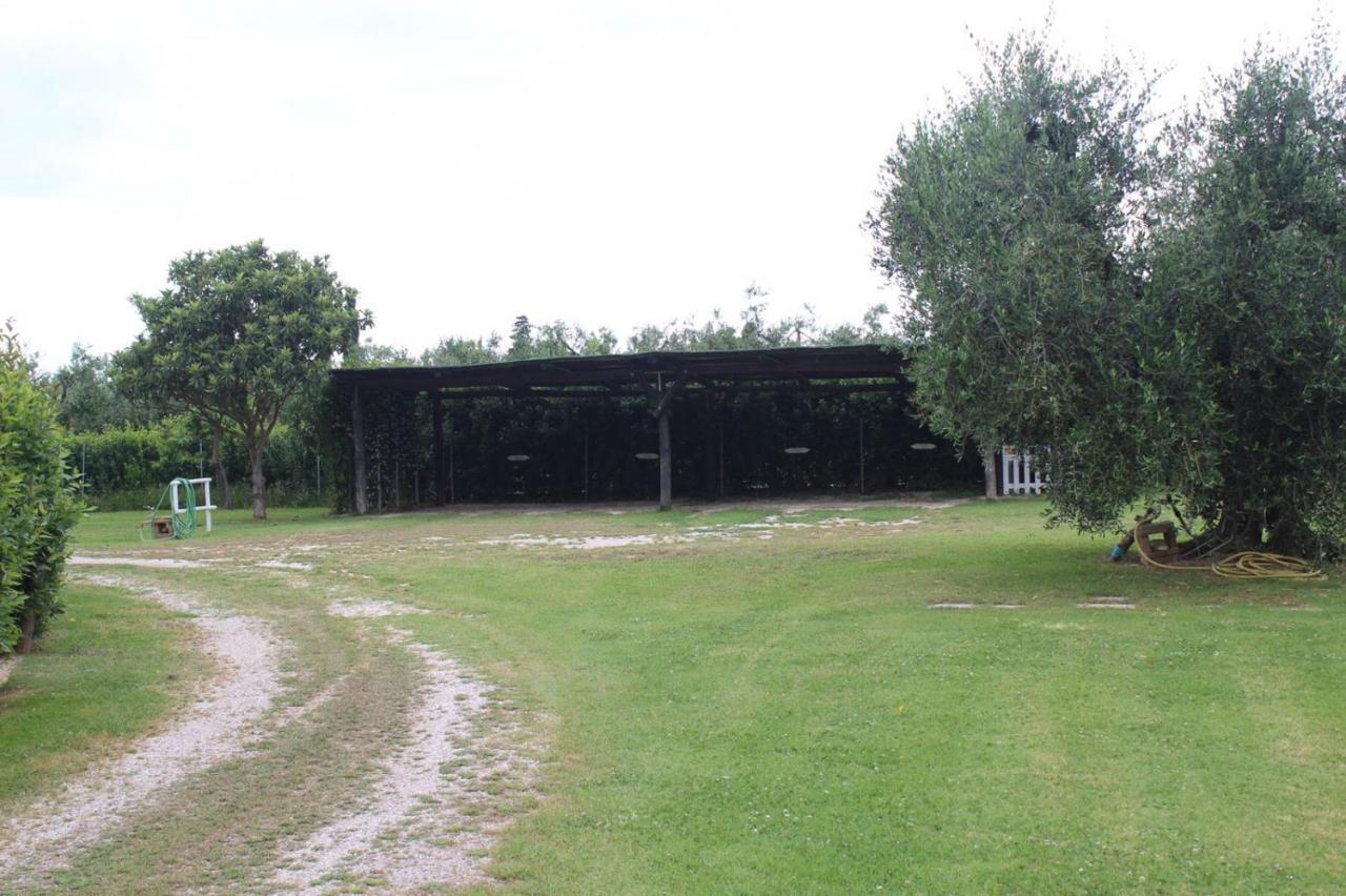 Podere Serena Castagneto Carducci Zewnętrze zdjęcie